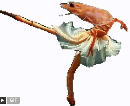 Shrimp Dressed As Ballerina On A Stick GIF
