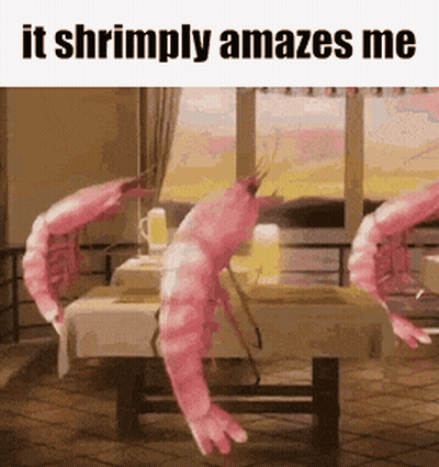 Shrimp It Shrimply Amazes Me
