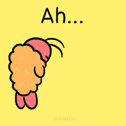 Shrimp GIF