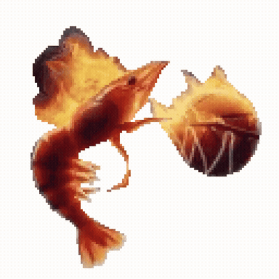 Shrimp On Fire Next To Basketball GIF