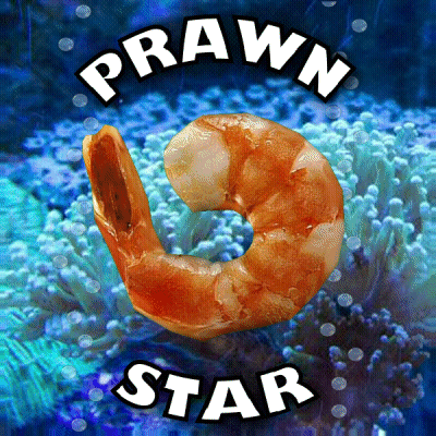 Shrimp Prawn Star GIF