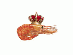 Shrimp Royal Crown GIF