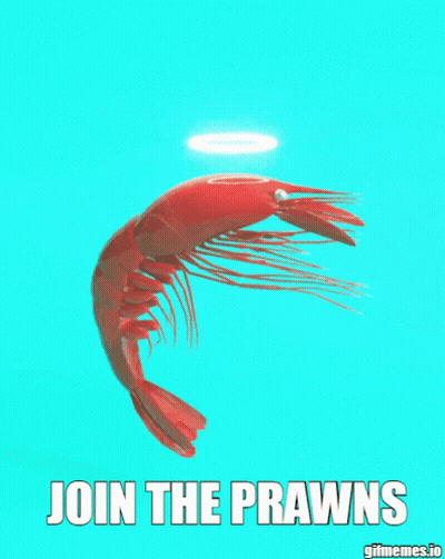 Shrimp Saying Join The Prawns GIF
