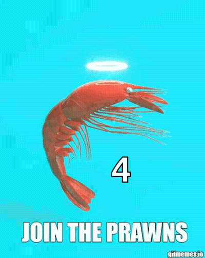 Shrimp With Join The Prawns GIF