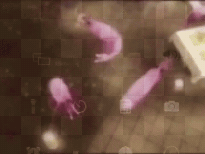 Shrimps Dancing To New Order GIF