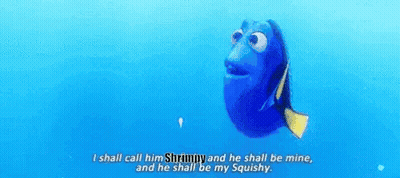 Shrimpy GIF