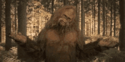Shrug Big Foot GIF