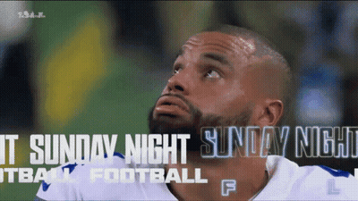 Shut Up Seahawks Fan Football Game