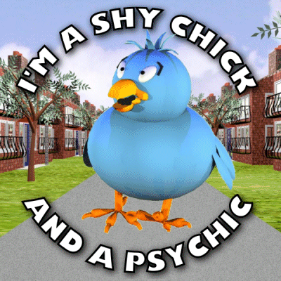 Shy Psychic Chick Bird GIF