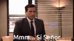 Si Michael Scott GIF