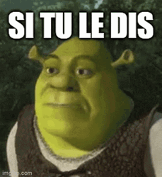 Si Shrek Memes GIF