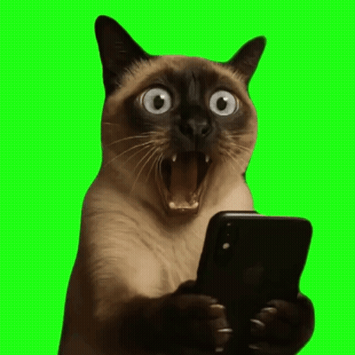 Siamese Cat Holding Cell Phone GIF