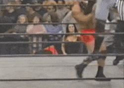 Sid Vicious Legend Wrestler GIF