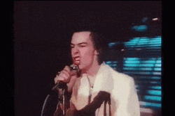 Sid Vicious Performed Punk Music GIF