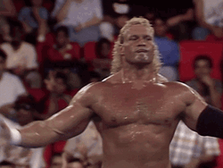Sid Vicious Sid Eudy Wrestling Ring GIF