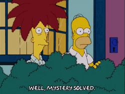 Sideshow Bob And Homer Concluded Mystery Solved GIF