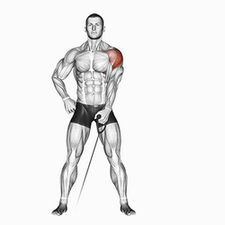 Sideways Lateral Raises GIF