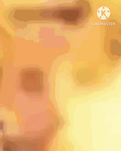 Sigma Edited Filtered Face Meme GIF