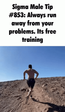 Sigma Meme Free Training GIF