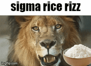 Sigma Rice GIF