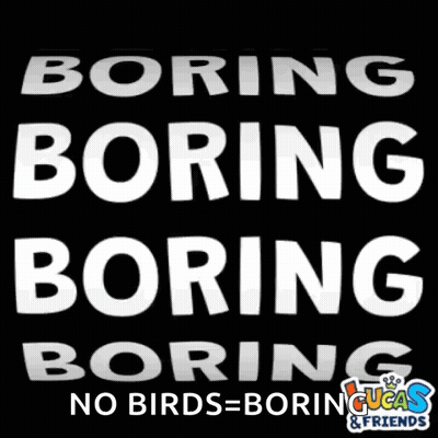Sign Saying Boring Boring Boring And No Birds Boring GIF