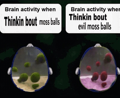 Sign Saying Brain Activity When Thinkin Bout Moss Balls GIF
