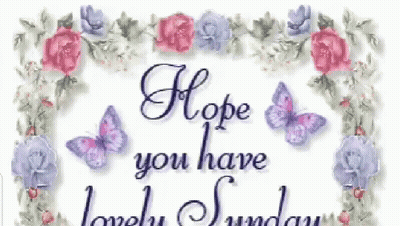 Sign Saying Hope You Have Lovely Sunday GIF