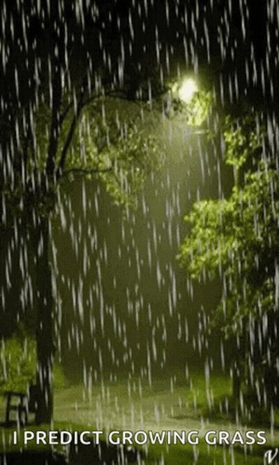 Sign Saying I Predict Growing Grass In The Rain GIF