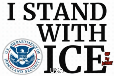 Sign Saying I Stand With Ice GIF