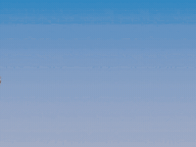 Sign Saying I Will Win The War GIF