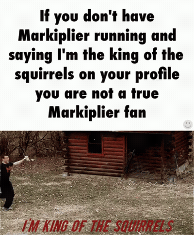 Sign Saying If You Don't Have Markiplier Running And Saying I'm The King Of GIF
