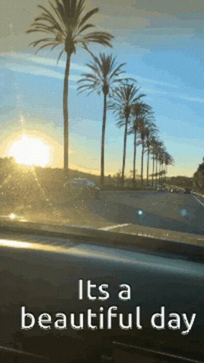 Sign Saying Its A Beautiful Day With Palm Trees GIF