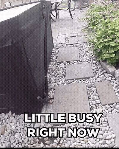 Sign Saying Little Busy Right Now GIF