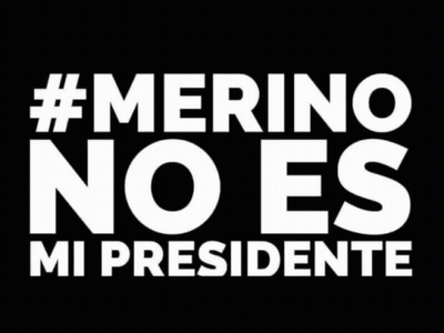 Sign Saying Merino No Es Mi Presidente GIF