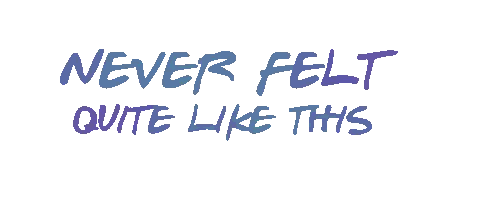 Sign Saying Never Felt Quite Like This Sticker