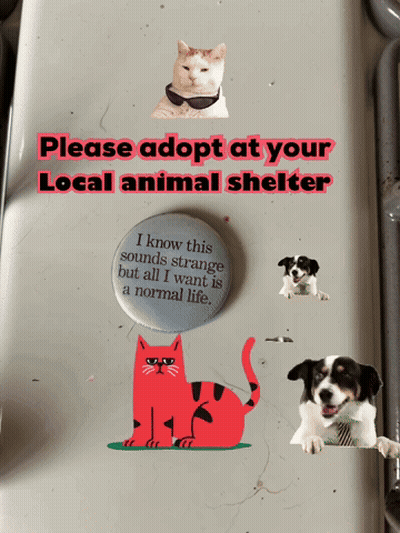 Sign Saying Please Adopt At Your Local Animal Shelter GIF