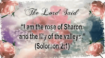 Sign Saying The Lord Said I Am The Rose Of Sharon And The Lily Of The Valleys GIF