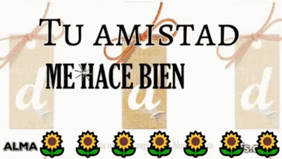 Sign Saying Tu Amistad Me Hace Bien GIF