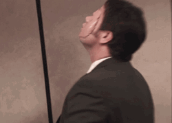 Silence Of The Lambs The Office Meme GIF