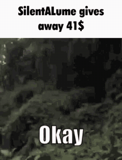 Silentalume Gives Away 41 Dollars GIF