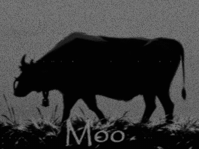 Silhouette Cow Saying Moo GIF