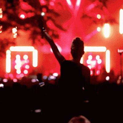 Silhouette Holding Microphone In Front Of Crowd GIF
