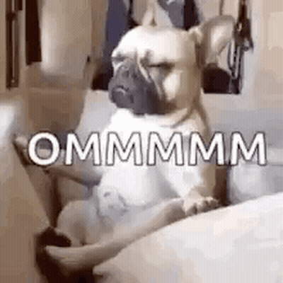 Silhouette In Lotus Position With Amber Lyra Productions GIF