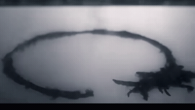 Silhouette of a Circle