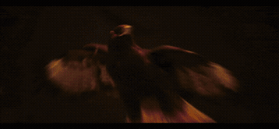 Silhouette Of Eagle With Wings Spread GIF