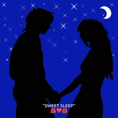 Silhouette Of Man And Woman Holding Hands Sweet Sleep GIF