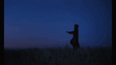 Silhouette Of Person In Field GIF