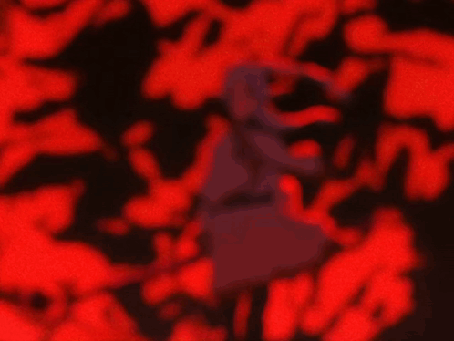 Silhouette Of Person In Red Background GIF