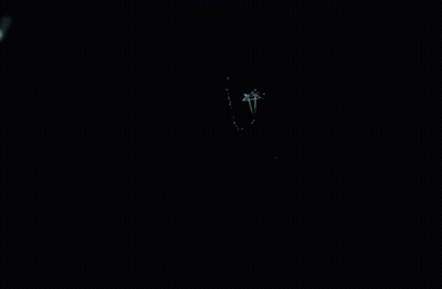 Silhouette Of Person Standing On Blue Background GIF