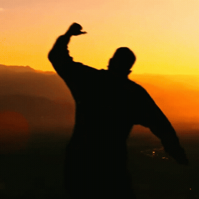 Silhouette Of Person With Arm In Air At Sunset GIF